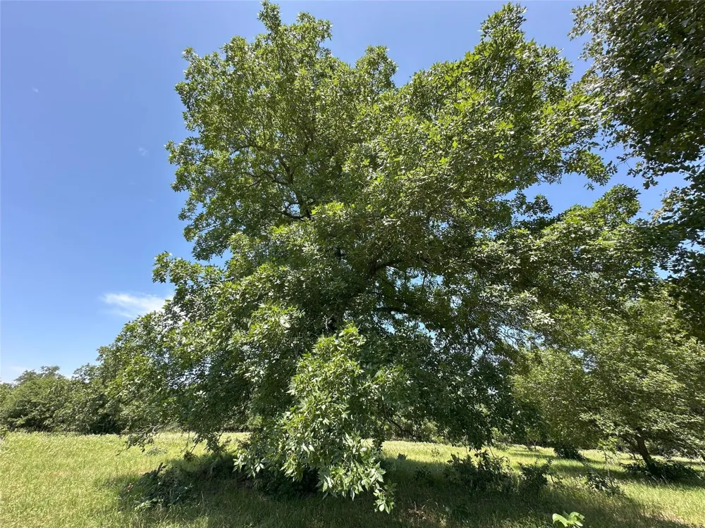 8110 N Hwy 77 Lexington, TX 78947