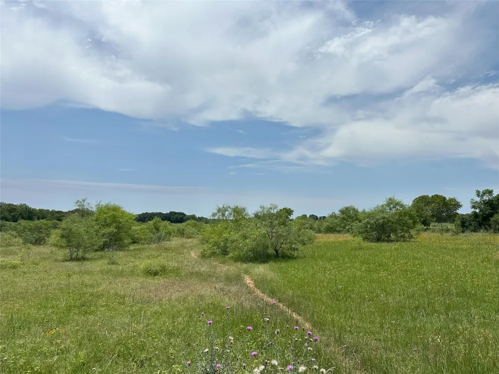 8110 N Hwy 77 Lexington, TX 78947