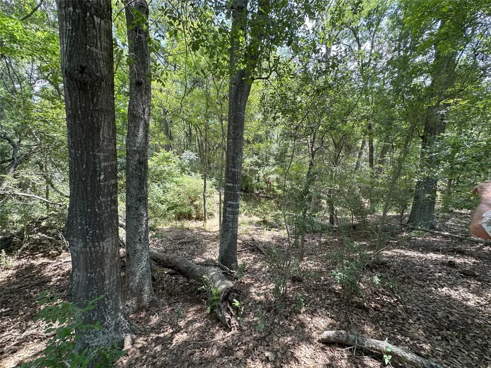 8110 N Hwy 77 Lexington, TX 78947
