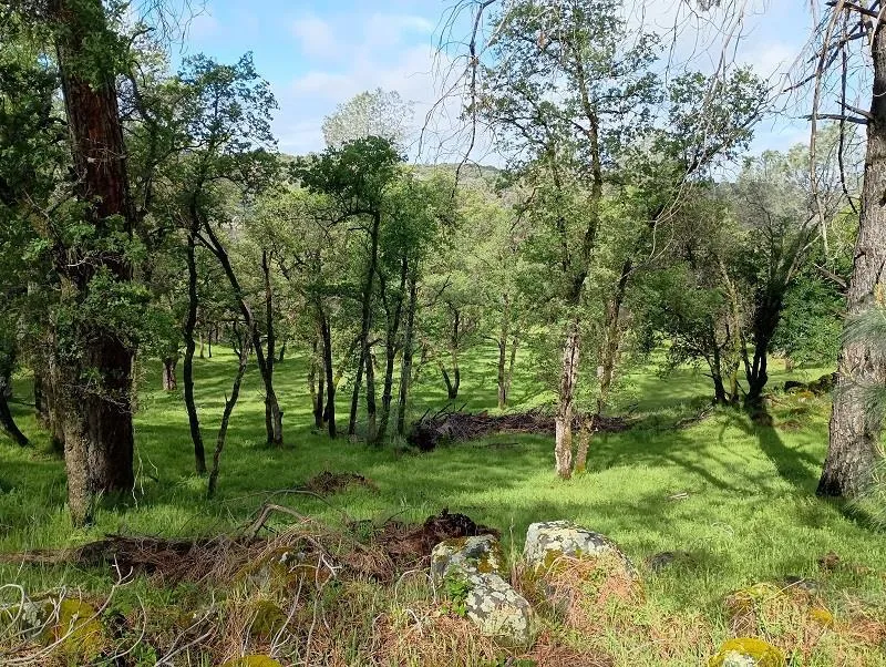 1119 Montauk Vista Pilot Hill, CA 95664