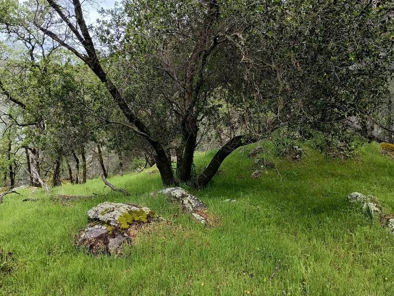 1119 Montauk Vista Pilot Hill, CA 95664