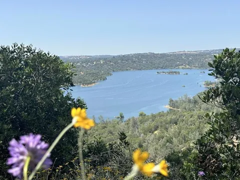 1119 Montauk Vista