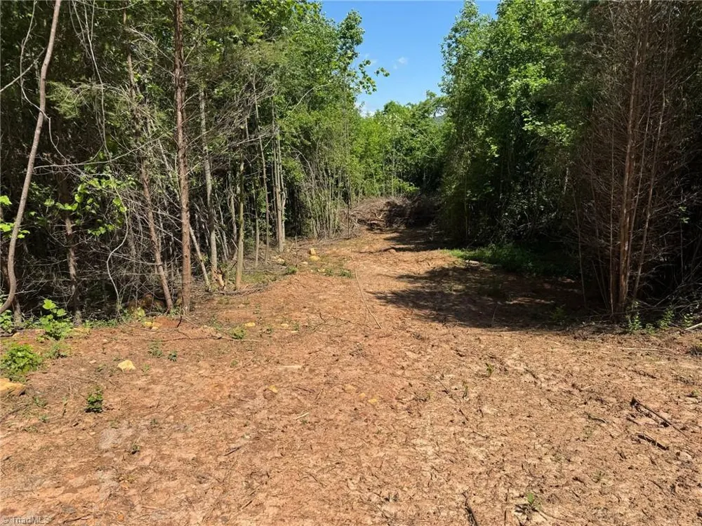 Lot 54 Billings Hill Church Road Traphill, NC 28683
