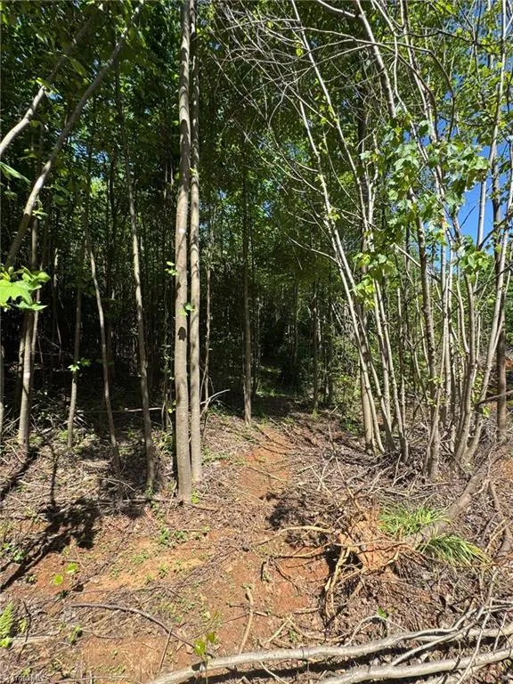 Lot 54 Billings Hill Church Road Traphill, NC 28683