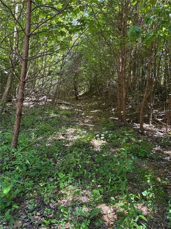 Lot 54 Billings Hill Church Road Traphill, NC 28683