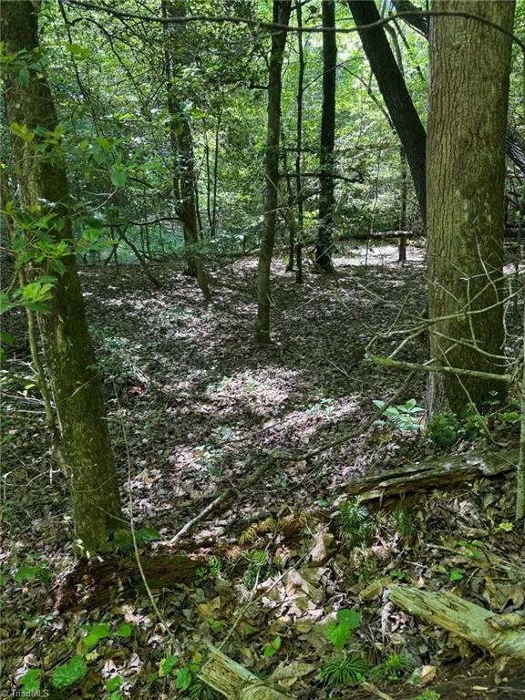 Lot 54 Billings Hill Church Road Traphill, NC 28683