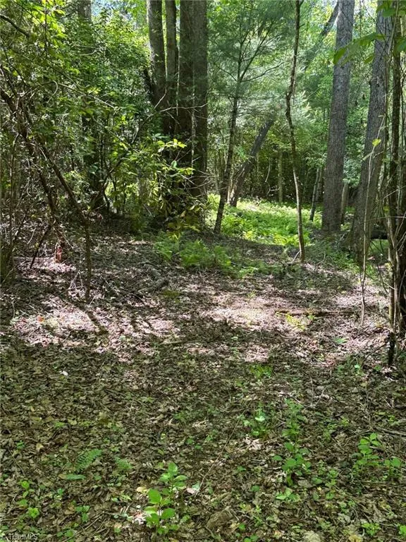 Lot 54 Billings Hill Church Road Traphill, NC 28683