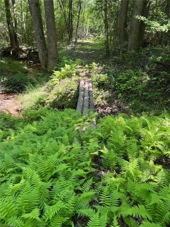 Lot 54 Billings Hill Church Road Traphill, NC 28683