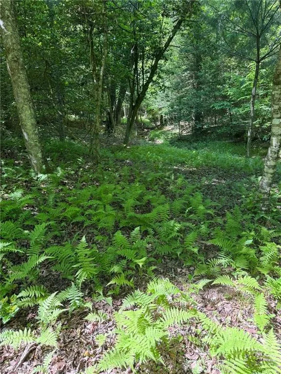 Lot 54 Billings Hill Church Road Traphill, NC 28683