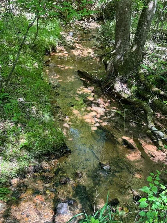 Lot 54 Billings Hill Church Road Traphill, NC 28683