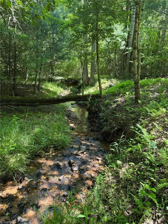 Lot 54 Billings Hill Church Road Traphill, NC 28683