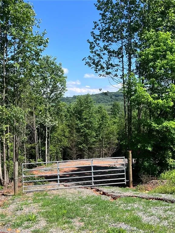 Lot 54 Billings Hill Church Road Traphill, NC 28683