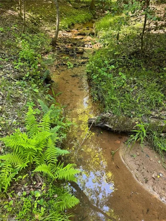 Lot 54 Billings Hill Church Road Traphill, NC 28683