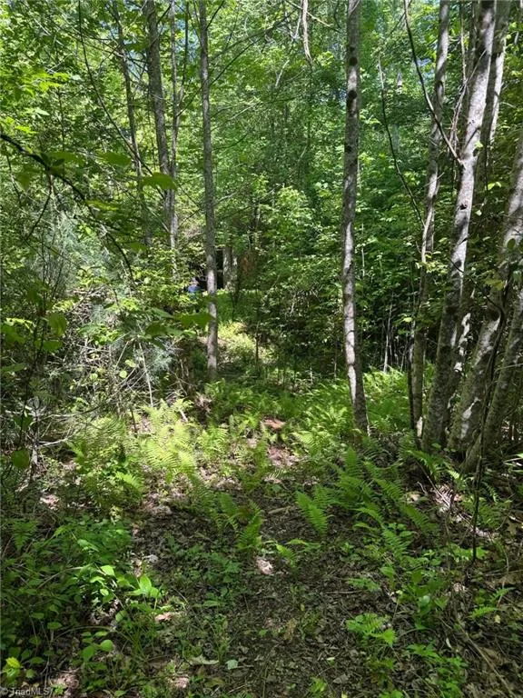 Lot 54 Billings Hill Church Road Traphill, NC 28683