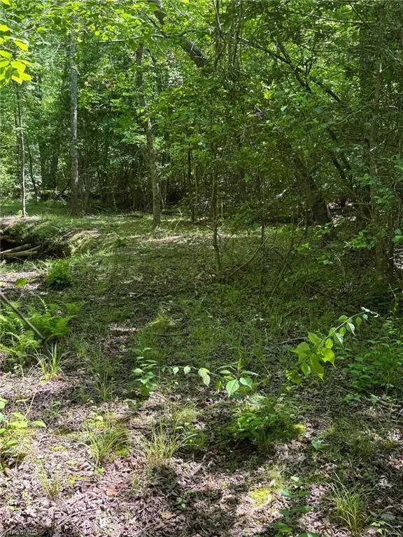 Lot 54 Billings Hill Church Road Traphill, NC 28683