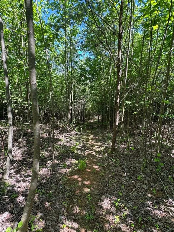 Lot 54 Billings Hill Church Road Traphill, NC 28683