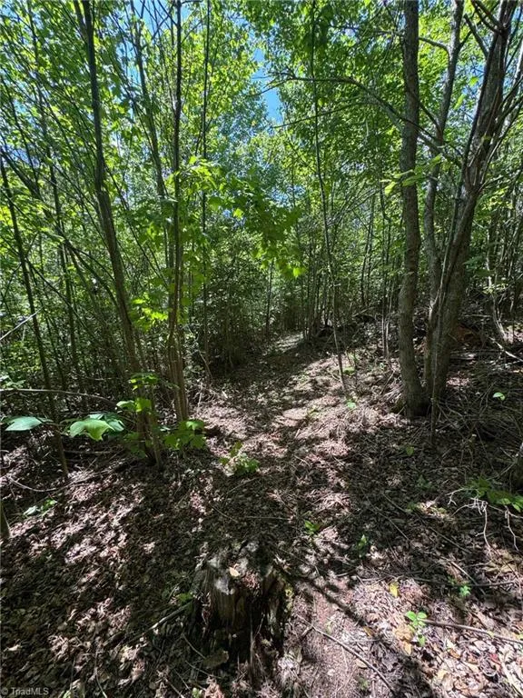 Lot 54 Billings Hill Church Road Traphill, NC 28683
