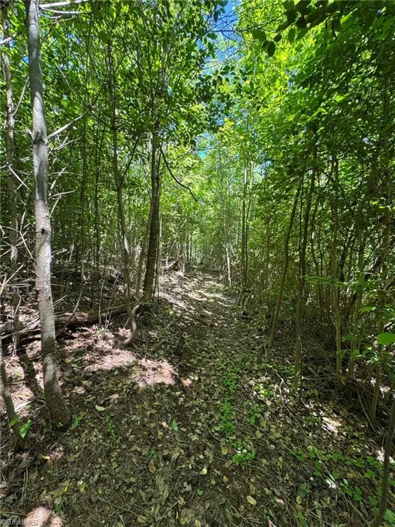 Lot 54 Billings Hill Church Road Traphill, NC 28683