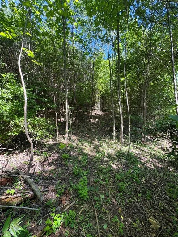 Lot 54 Billings Hill Church Road Traphill, NC 28683