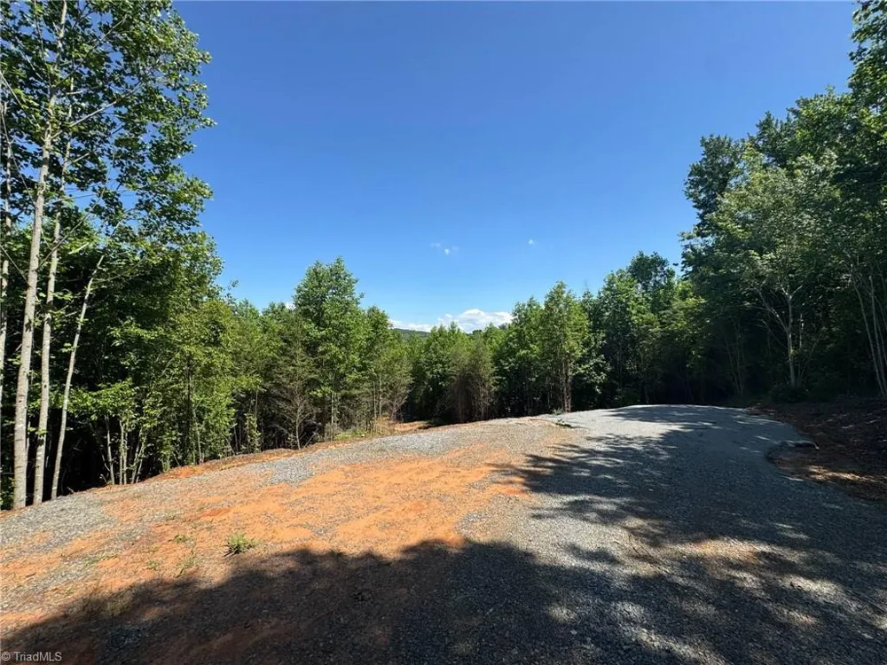 Lot 54 Billings Hill Church Road Traphill, NC 28683
