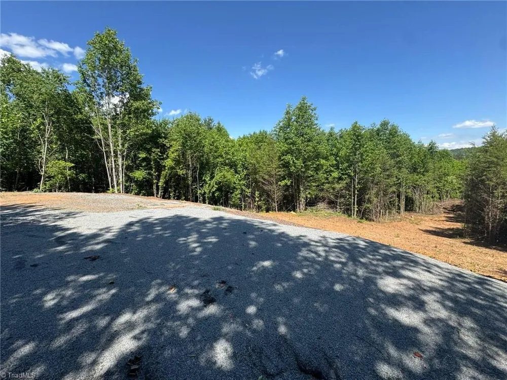Lot 54 Billings Hill Church Road Traphill, NC 28683