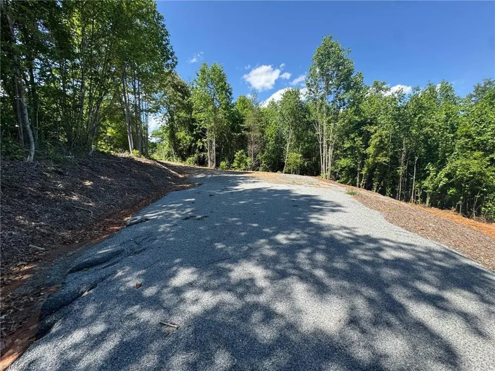 Lot 54 Billings Hill Church Road Traphill, NC 28683