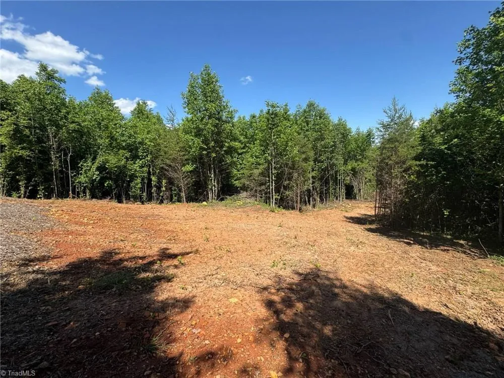 Lot 54 Billings Hill Church Road Traphill, NC 28683