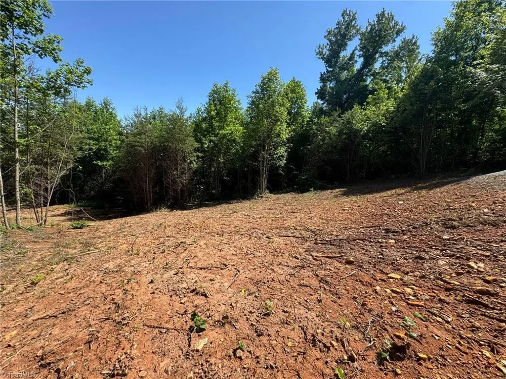 Lot 54 Billings Hill Church Road Traphill, NC 28683