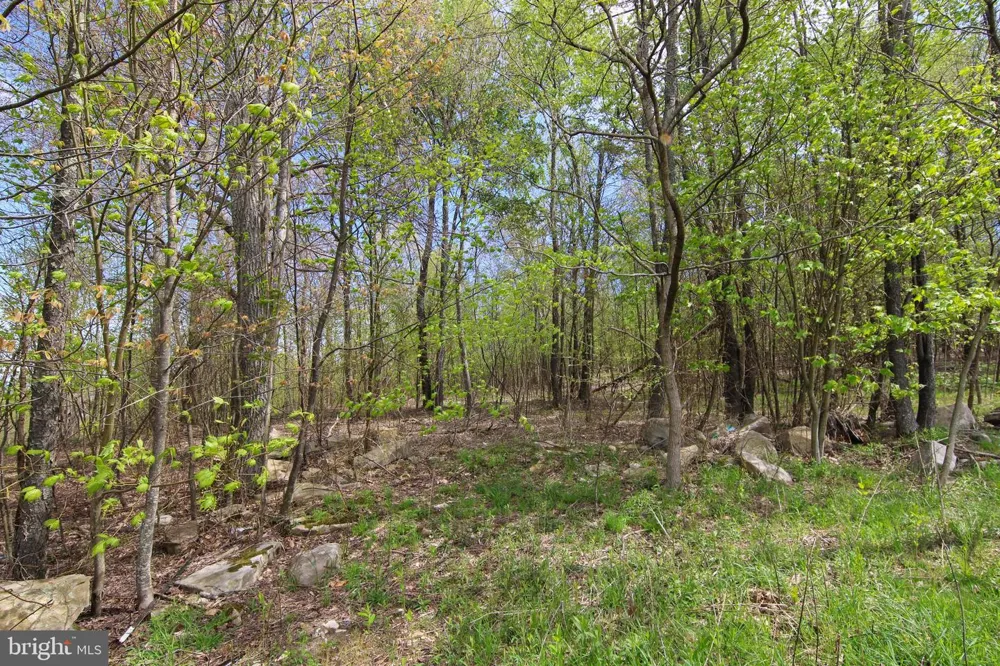 CAMP CIRCLE Mc Henry, MD 21541