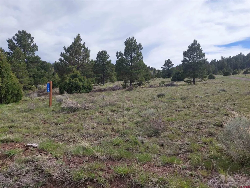 1195 Rito Hondo Rd Antonito, CO 81120