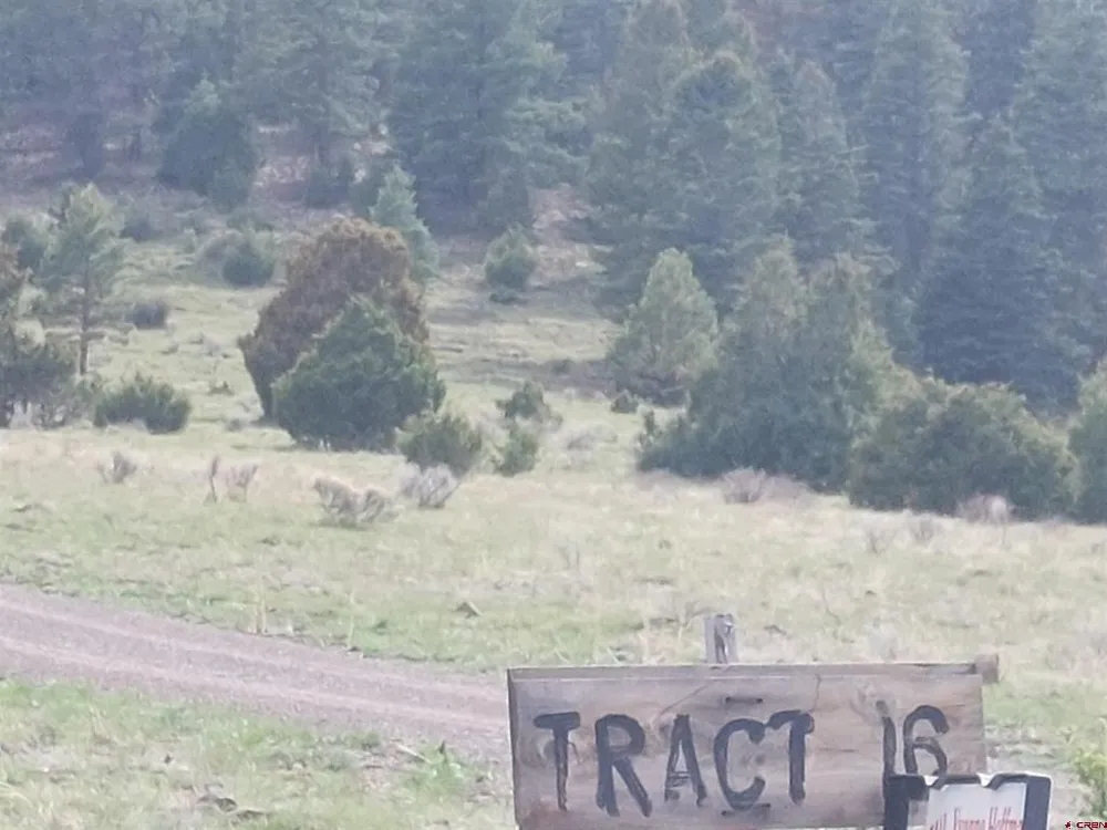 1195 Rito Hondo Rd Antonito, CO 81120