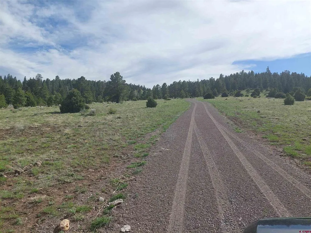 1195 Rito Hondo Rd Antonito, CO 81120
