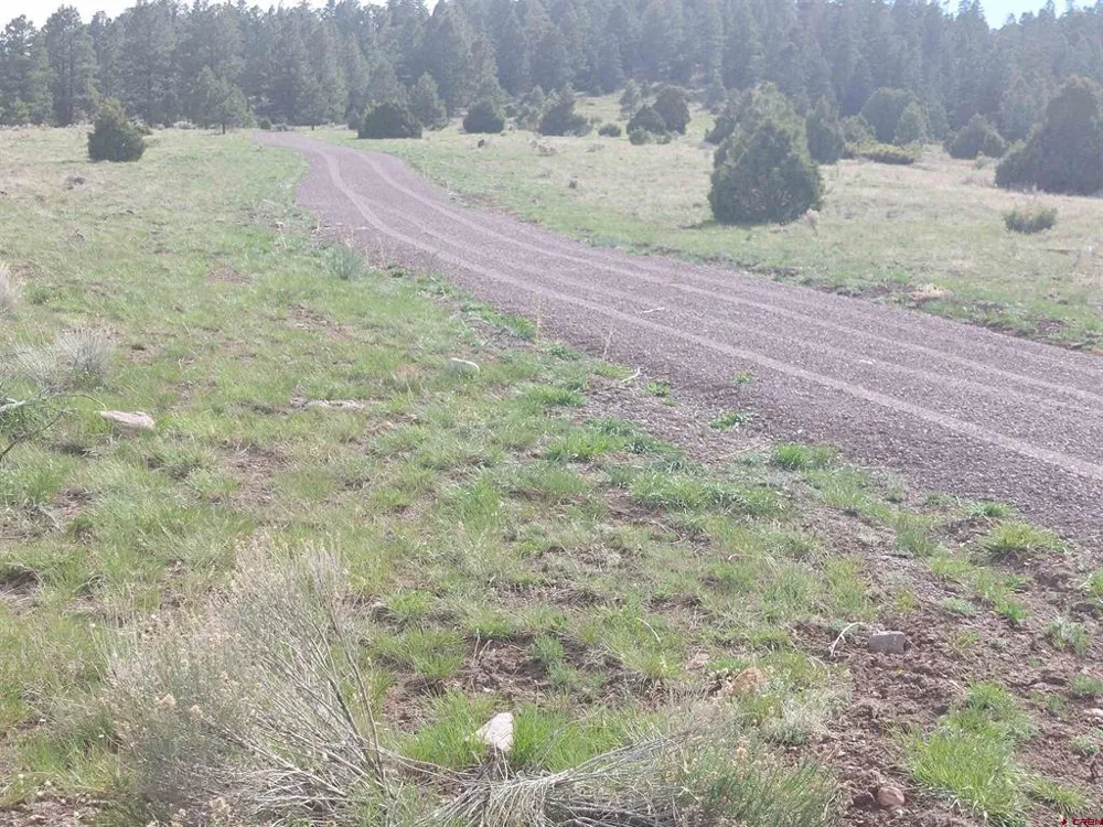 1195 Rito Hondo Rd Antonito, CO 81120