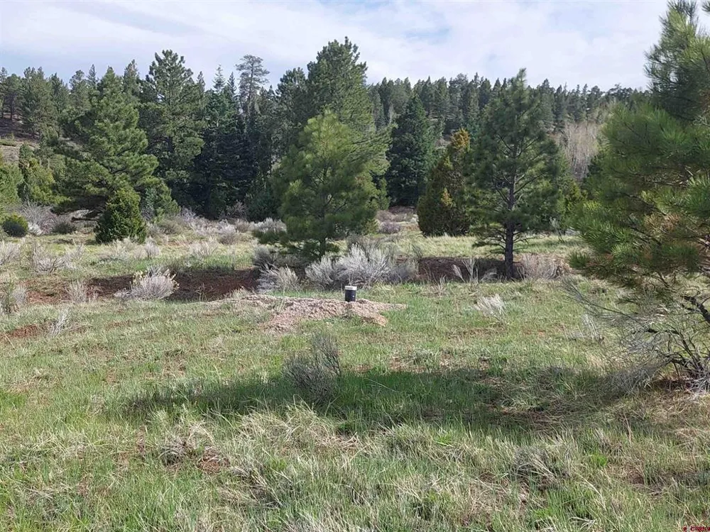 1195 Rito Hondo Rd Antonito, CO 81120