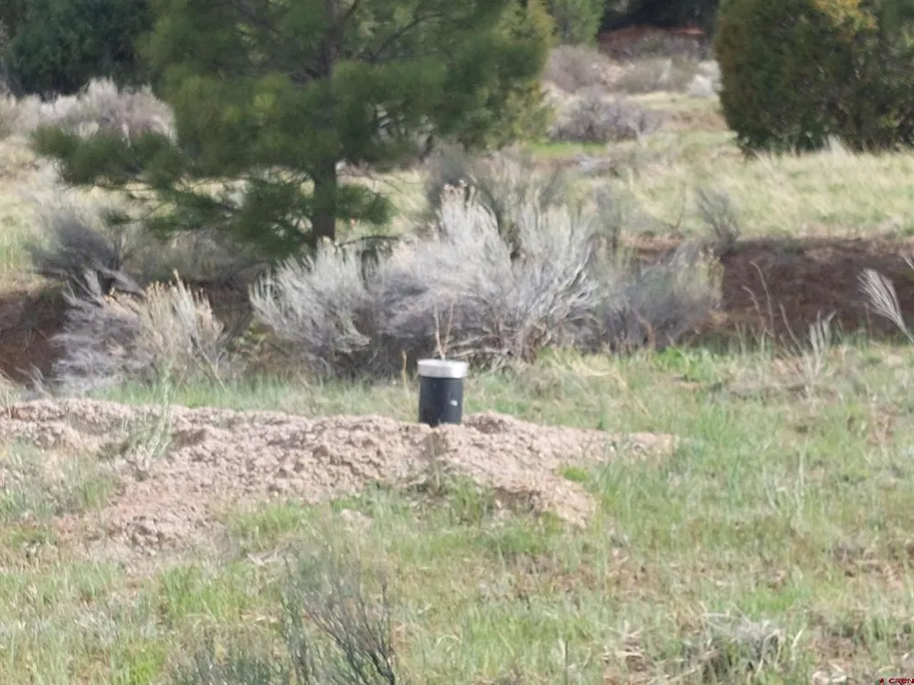 1195 Rito Hondo Rd Antonito, CO 81120