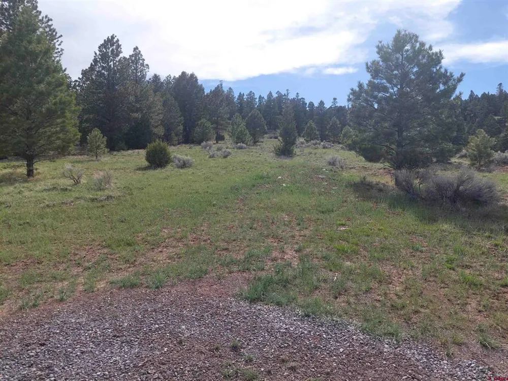 1195 Rito Hondo Rd Antonito, CO 81120