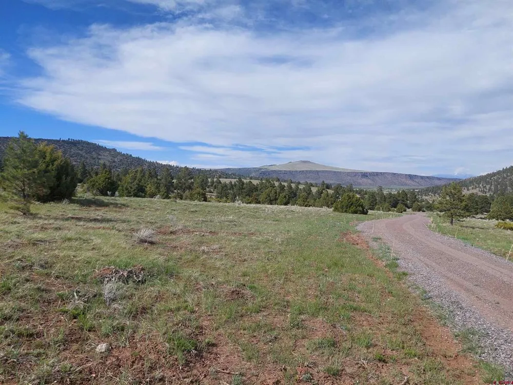 1195 Rito Hondo Rd Antonito, CO 81120