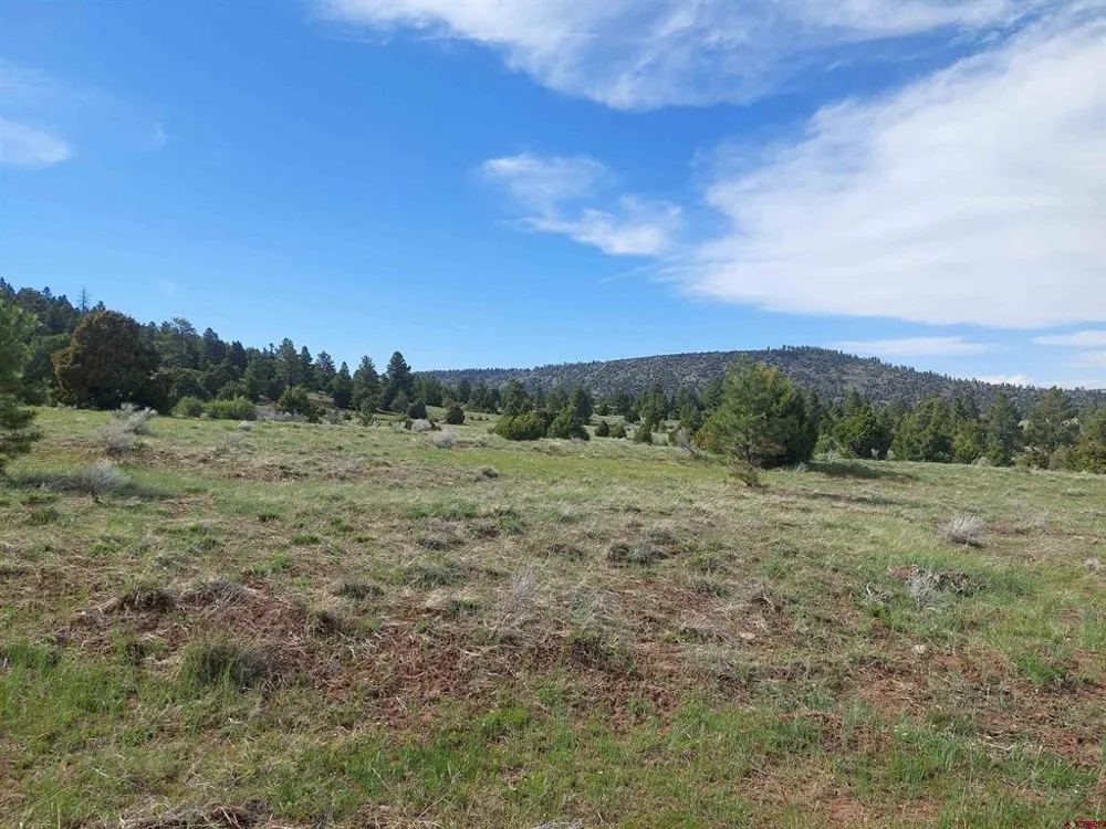 1195 Rito Hondo Rd Antonito, CO 81120