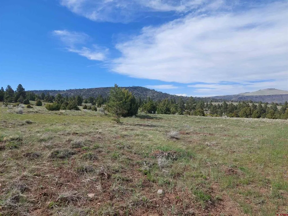 1195 Rito Hondo Rd Antonito, CO 81120