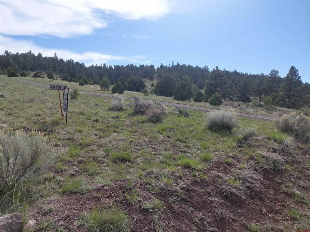 1195 Rito Hondo Rd Antonito, CO 81120