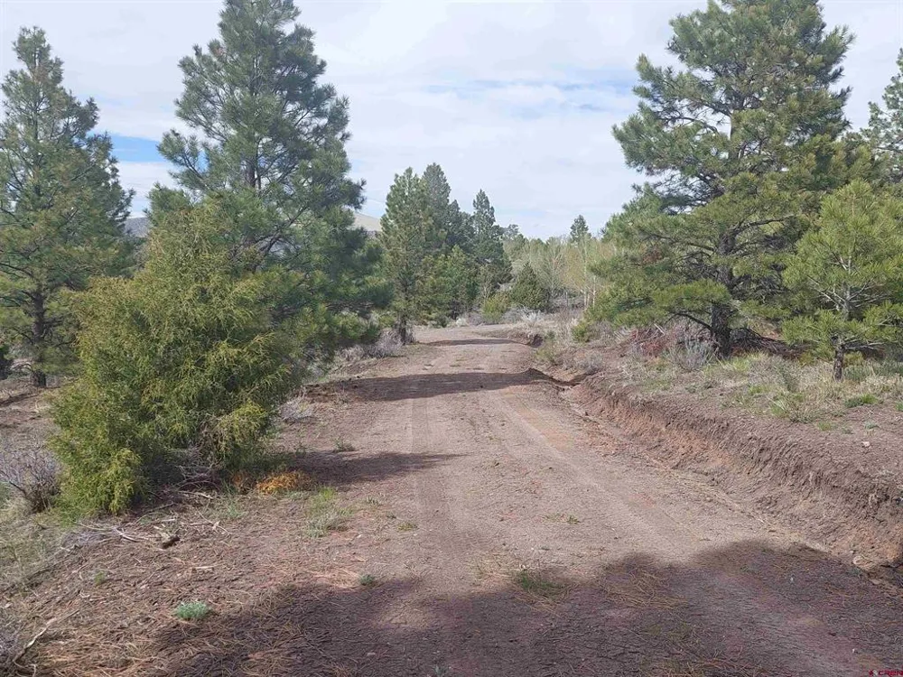1195 Rito Hondo Rd Antonito, CO 81120
