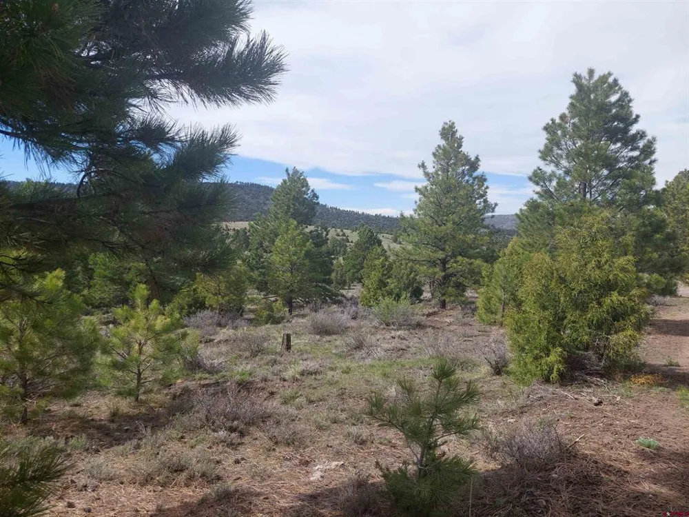 1195 Rito Hondo Rd Antonito, CO 81120