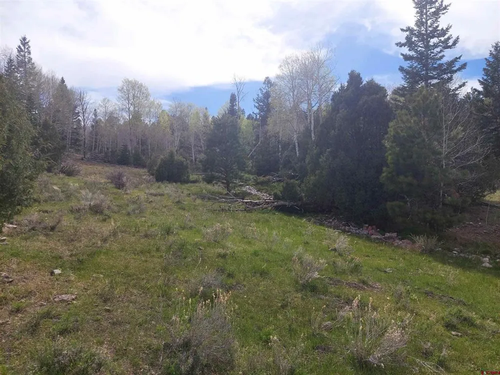 1195 Rito Hondo Rd Antonito, CO 81120