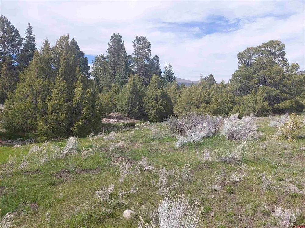 1195 Rito Hondo Rd Antonito, CO 81120