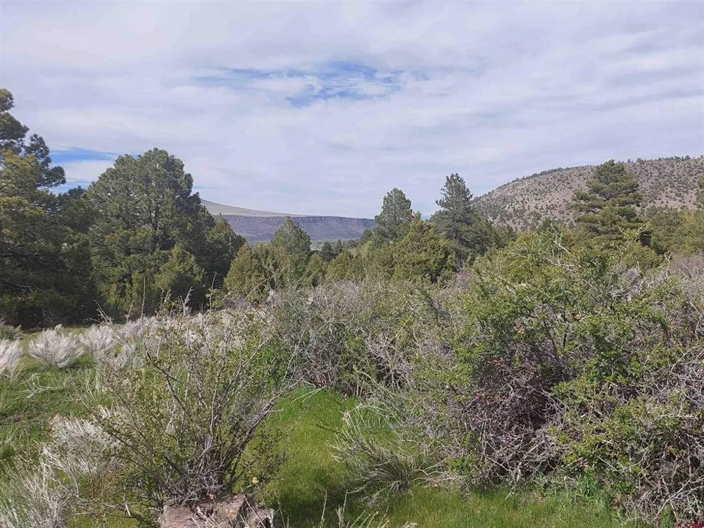 1195 Rito Hondo Rd Antonito, CO 81120
