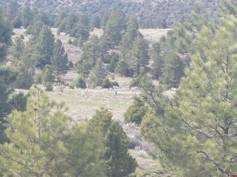 1195 Rito Hondo Rd Antonito, CO 81120