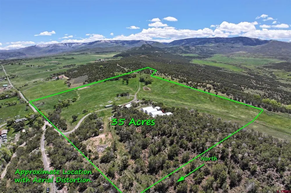 57191 ME ROAD Collbran, CO 81624