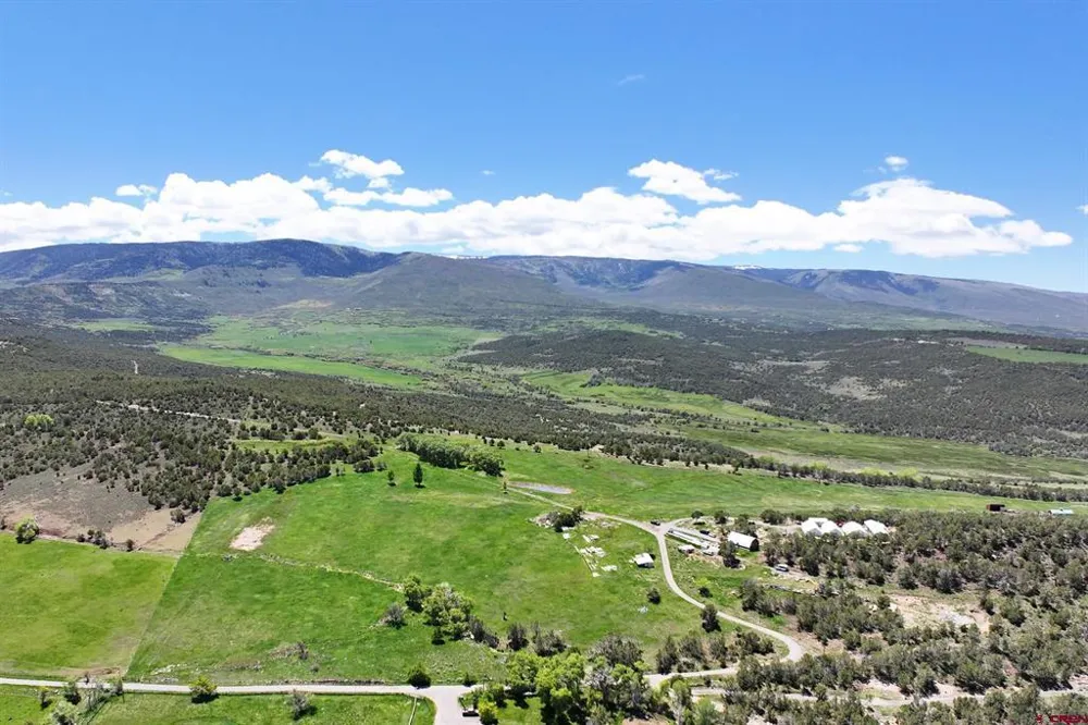 57191 ME ROAD Collbran, CO 81624