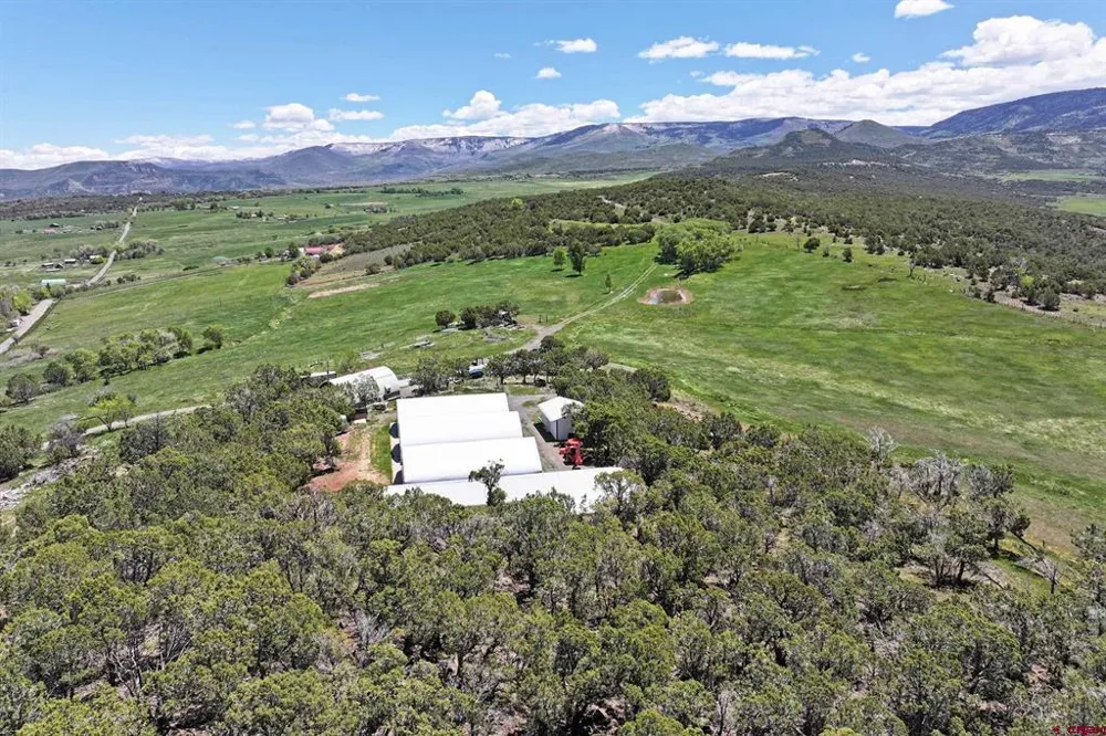 57191 ME ROAD Collbran, CO 81624