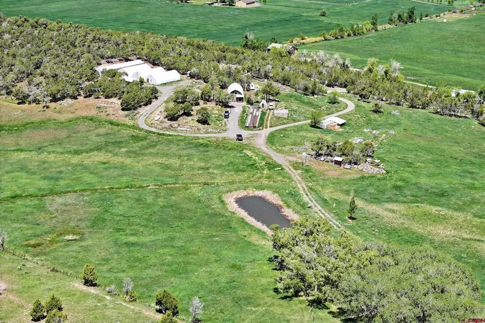 57191 ME ROAD Collbran, CO 81624